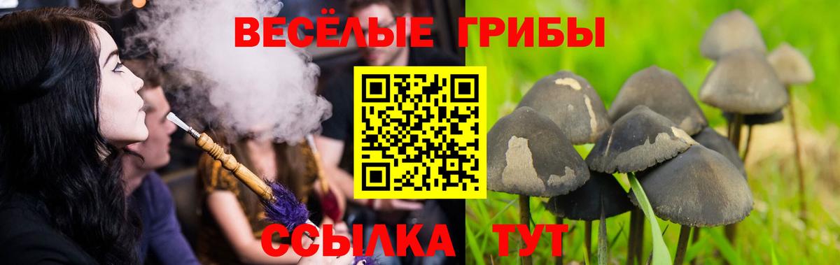 Псилоцибиновые грибы GOLDEN TEACHER  Вход с VPN  Кстово 